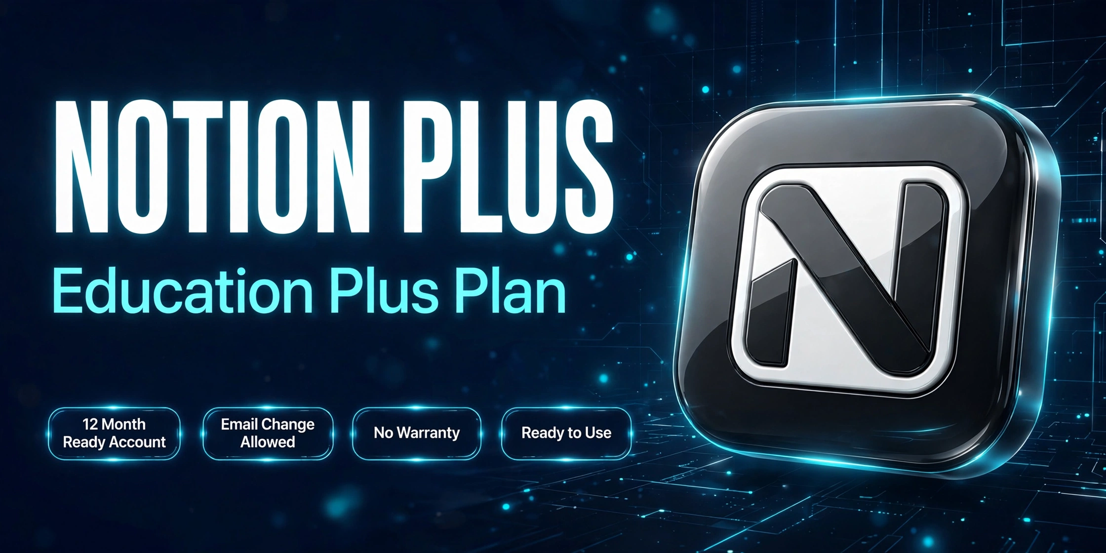 Notion Plus 12M